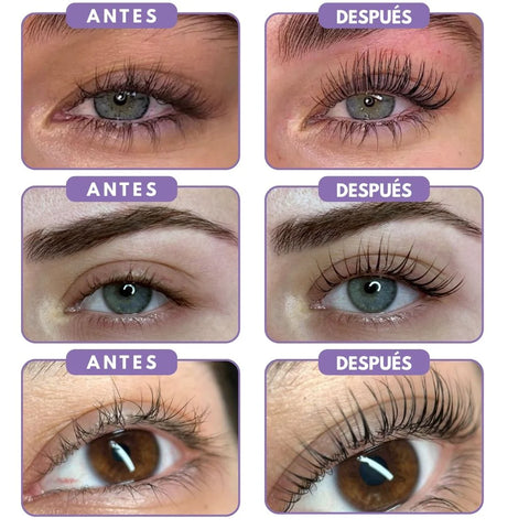 Producto