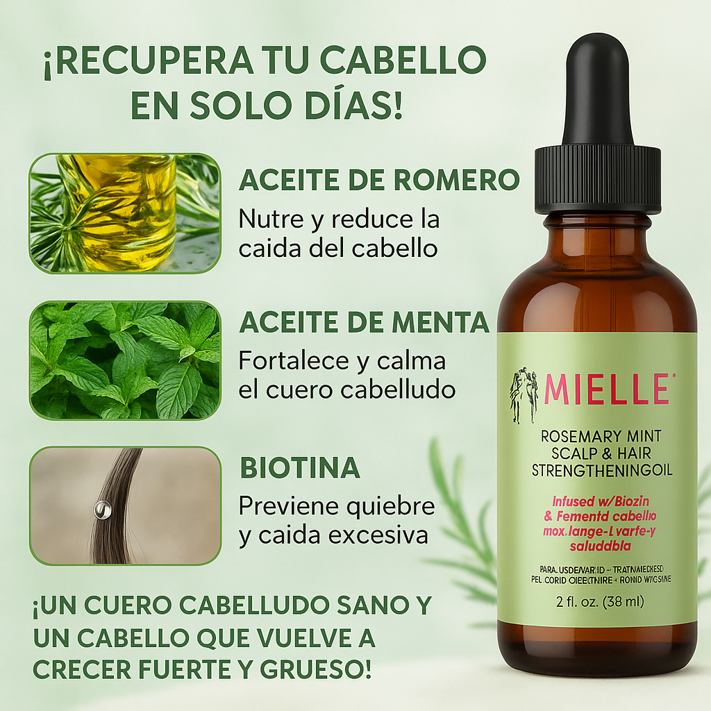 Encabezado